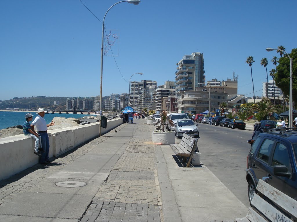 Viña del Mar Chile 19/12/2010 by Dedé de Zé Luca