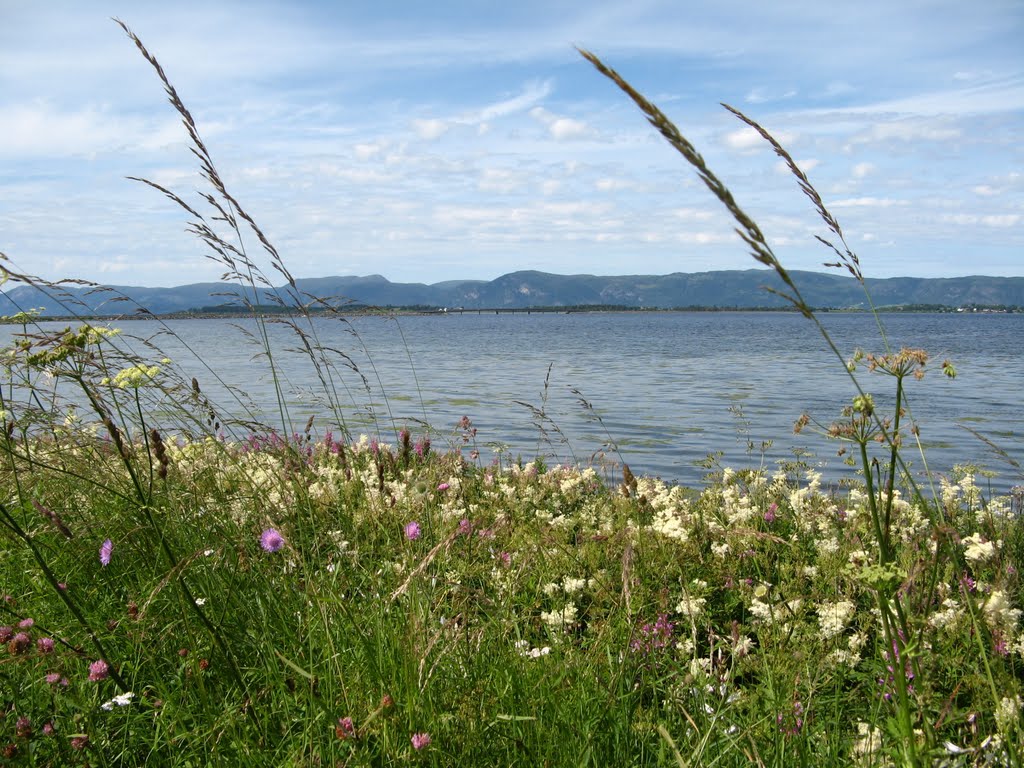 Frosta, The bridge to Tautra in the background, July 2011 by CecilieK