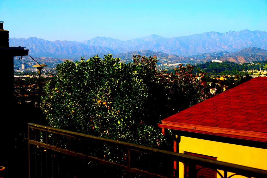 Views from Franklin Hills, Los Feliz, Los Angeles, CA by MICHAEL  JIROCH  &  www.michaeljiroch.com