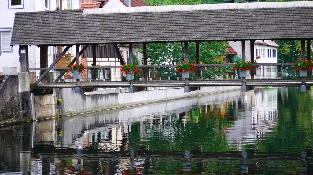 Flowers On The Bridge by Dg-505