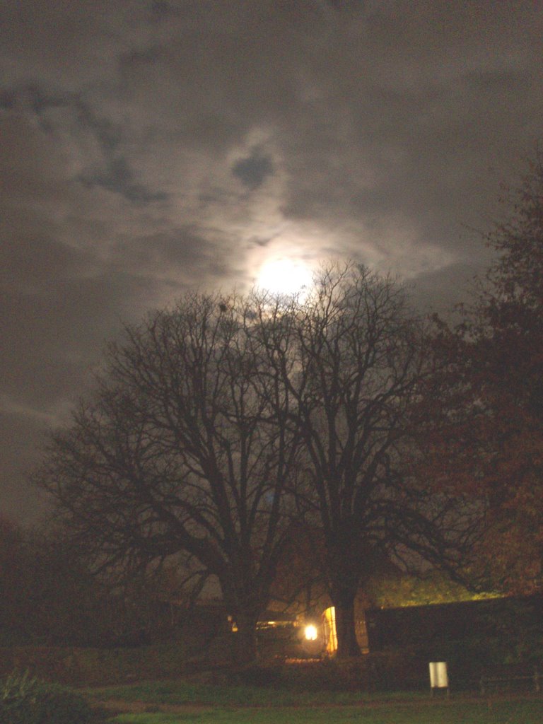 Chestnuts by night by Thei Moors|