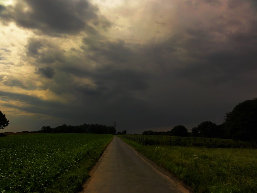 Vor dem Sturm by Willi Prinz