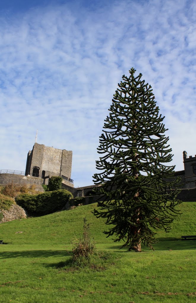 Clitheroe Castle by russbomb