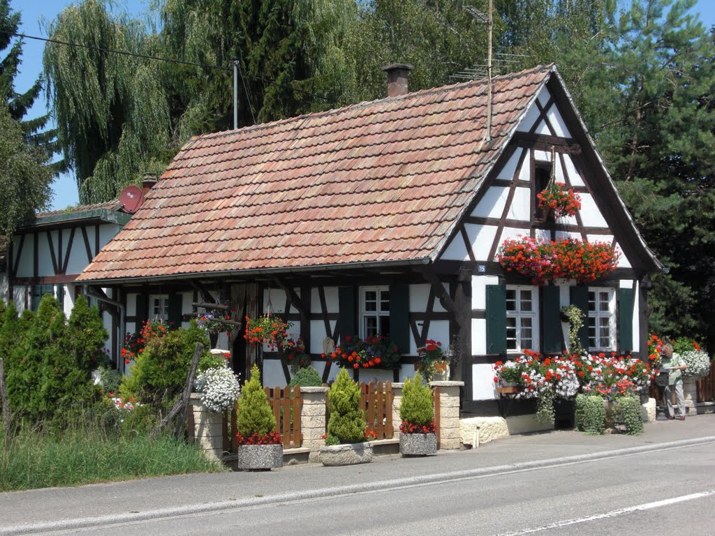 Das " Blumenhaus " in Richtolsheim by klausundchris