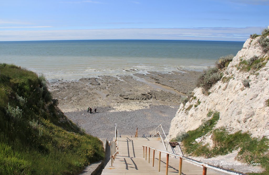 Le Bois-de-Cise (Somme) by lorcas