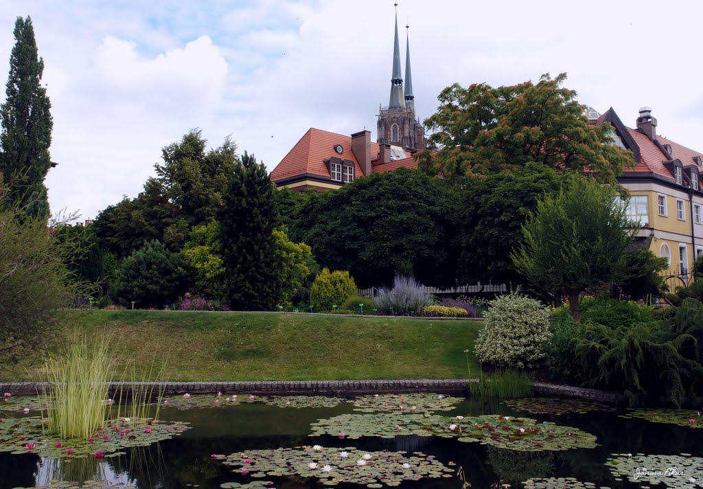 View from Botanical Garden in Wroclaw by fikusjanina