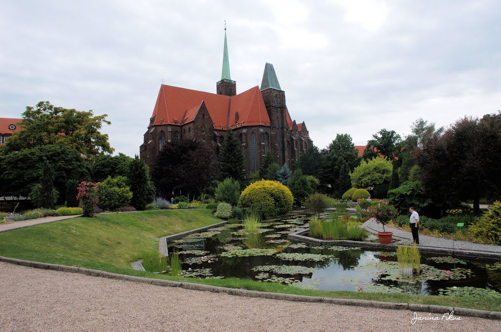 View from Botanical Garden in Wroclaw by fikusjanina