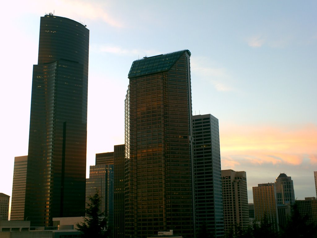 Columbia Tower and Seattle Municipal Tower at Evening by TDCinSeattle