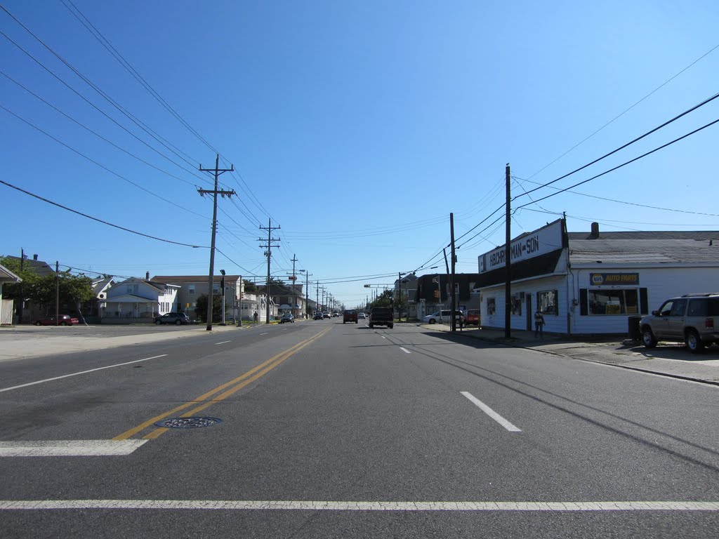 Park Blvd by Adam Elmquist