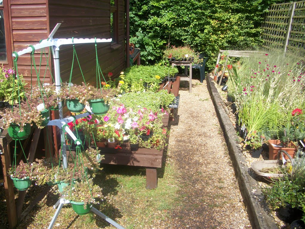 The Garden Shop side corner, on the right by Robert'sGoogleEarthPictures