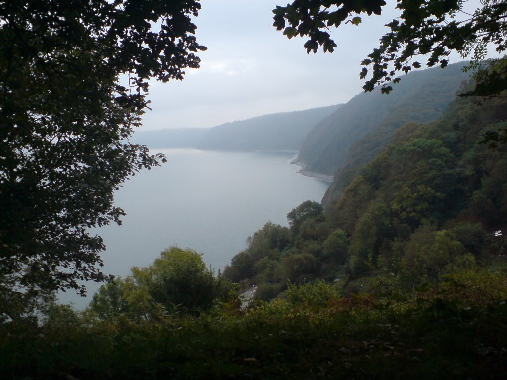 Walking down through the woods at Clovelly by Minispud