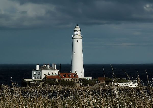 St Mary's Lighthouse by David Hogg