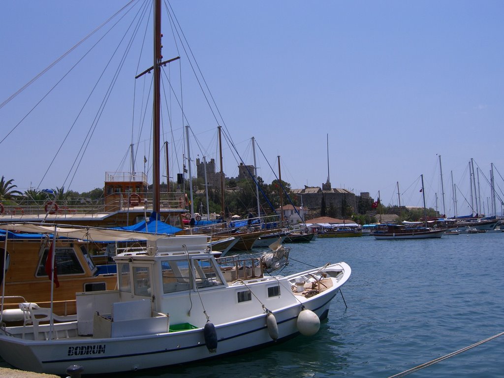 Burg von Bodrum-Türkei by trennbare