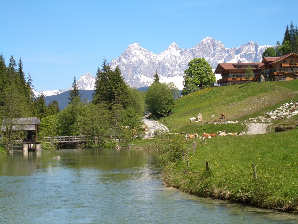 Dachstein Steiermark by Christa G