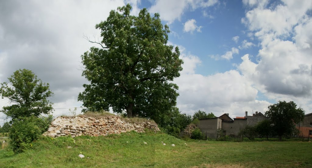 RUINY ZAMKU KRZYŻACKIEGO W DĄBRÓWNIE by Łukasz Świetlik