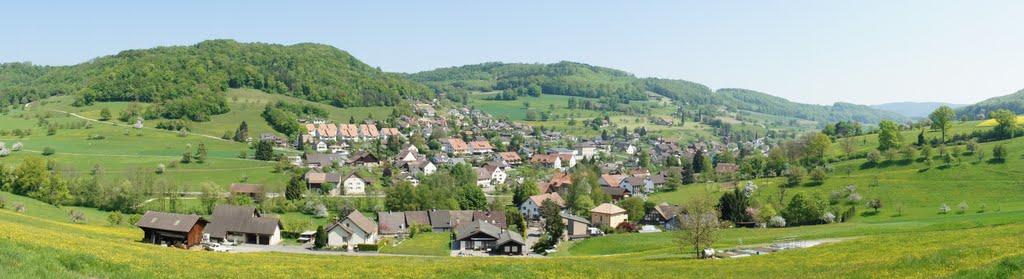 Panorama of Zuzgen by lionheart794