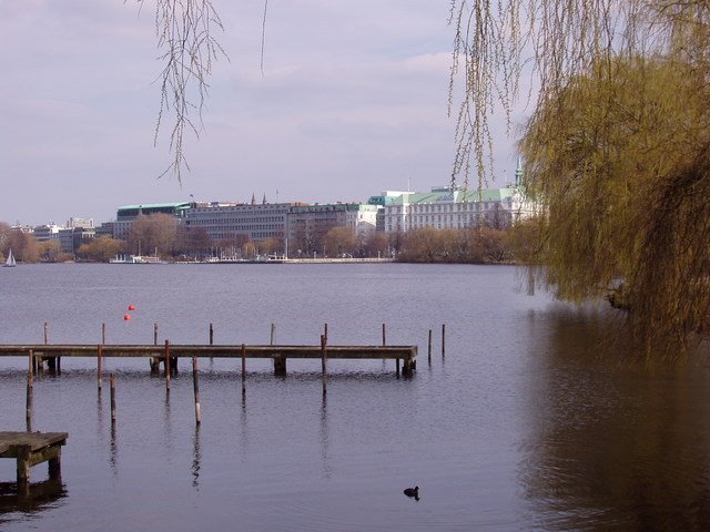 099 Hamburg, Aussenalster by Daniel Meyer