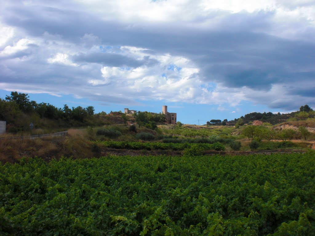 Vinyes sota el castell by Carles G