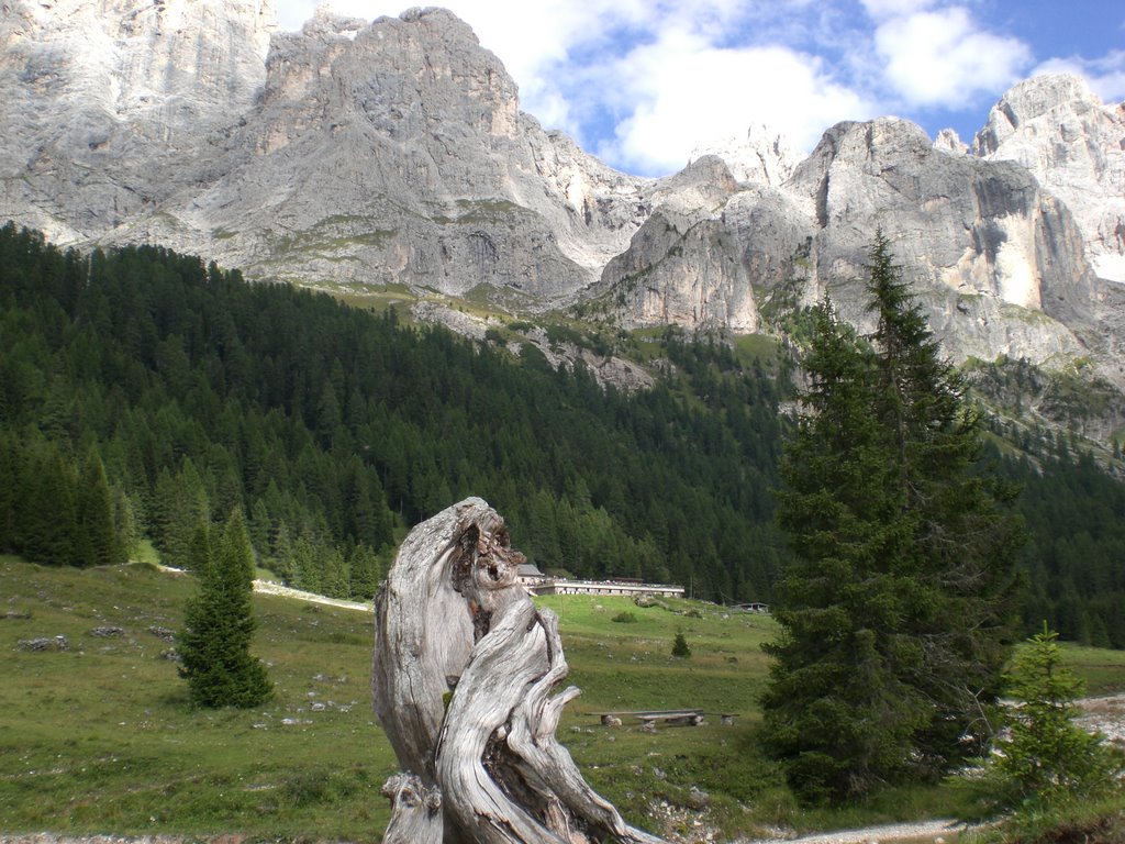 Malga Venegiotta dal torrente by rudyci