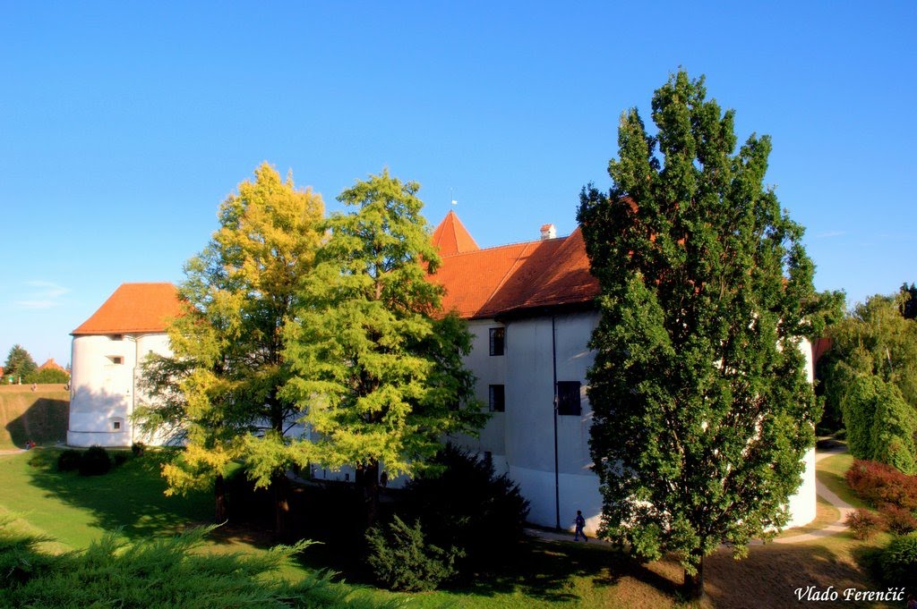 Stari Grad - Varaždin by Vlado Ferenčić