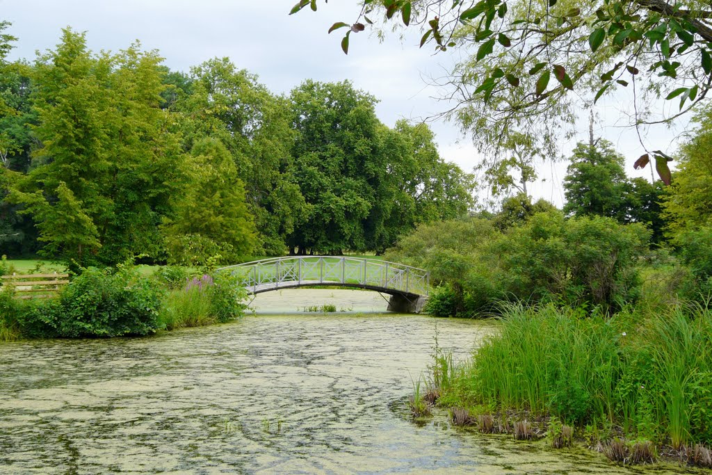 Lenné-Park Criewen, 9.Juli 2011 by Ines Spannbauer