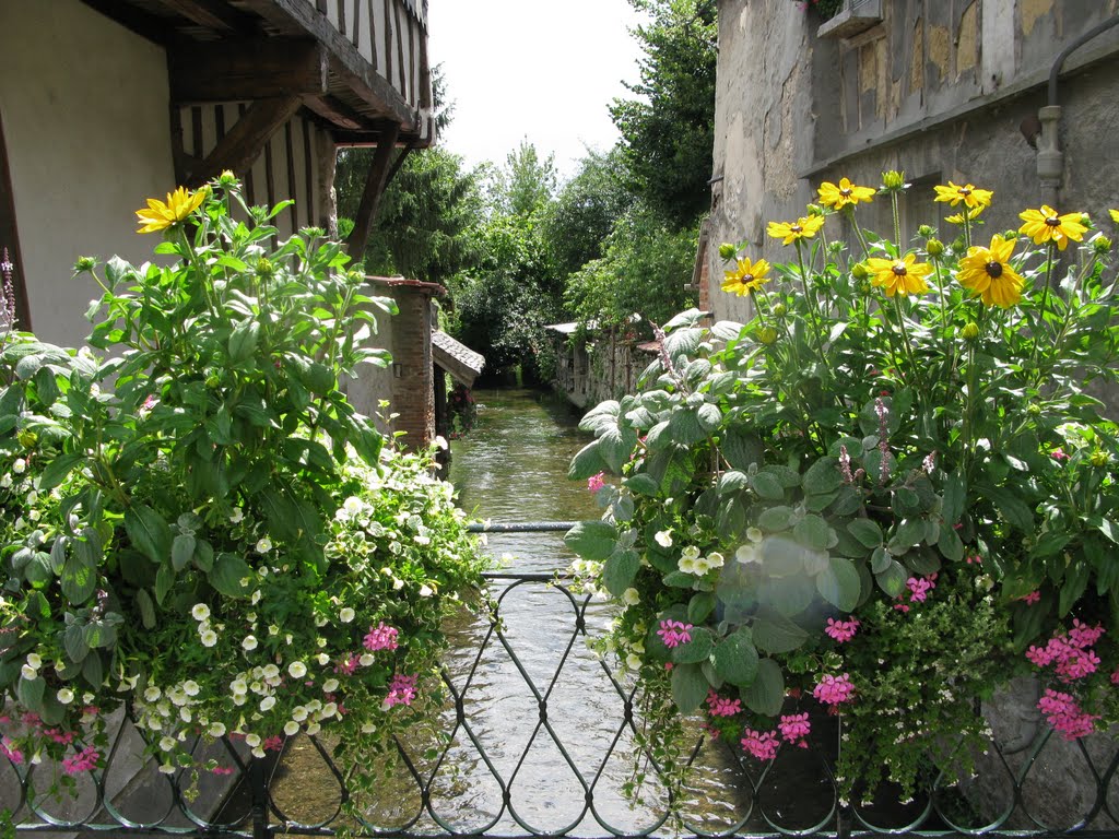 Rivière Voulzie à Provins le 17/07/2011 by eric DELVA