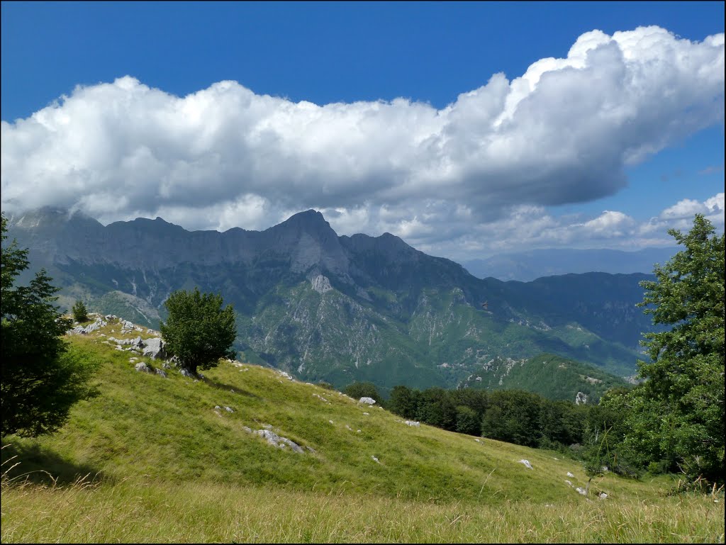 Vista sulle Panie - sentiero no. 108 (Foce del Termine-Foce delle Porchette) by kriszta13