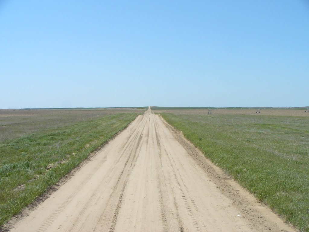 Open roads of Kansas by R N Richardson