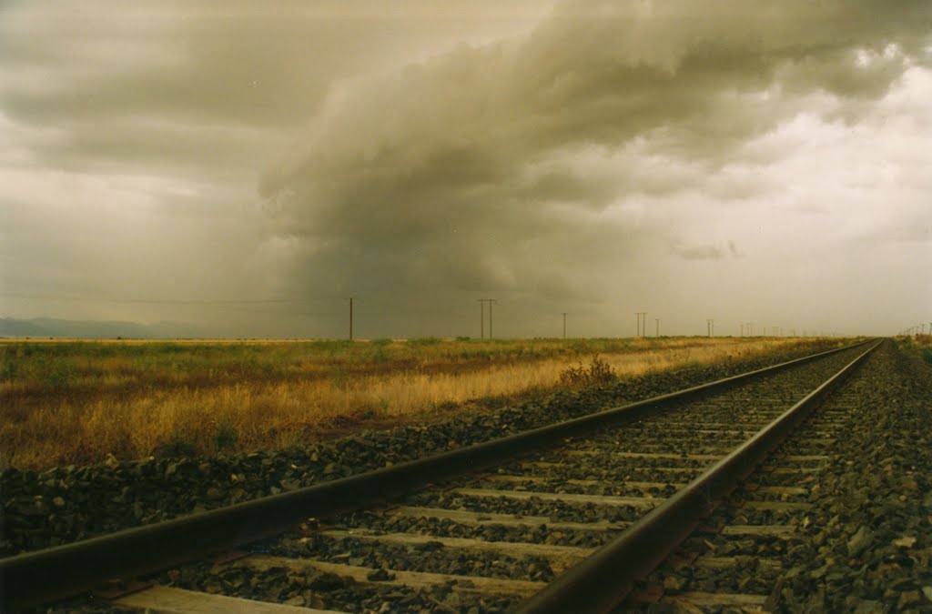 Rail and Rain by snucklepuff