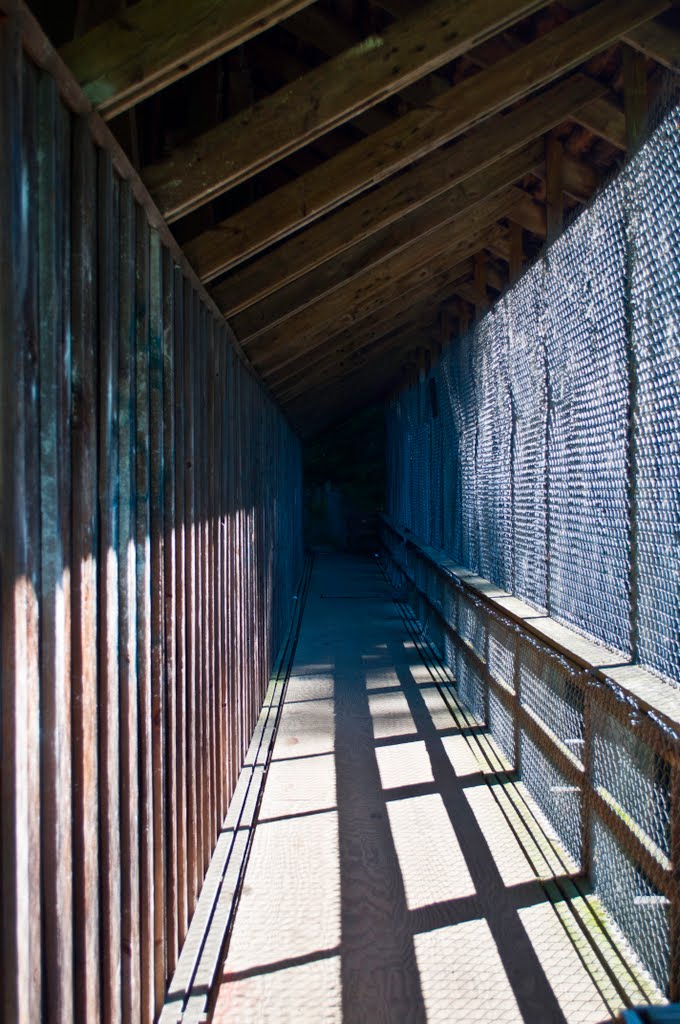 Covered Bridge, Greenfield, Franklin County, Massachusetts by davidpinter