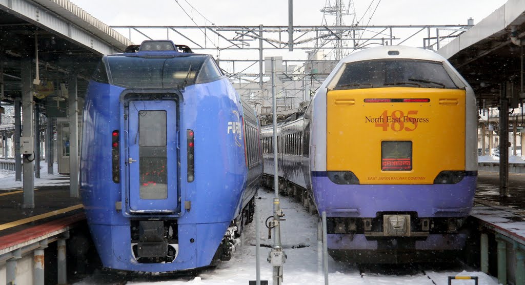 JR Hokkaido 283 DMU and JR East 485-3000 stes at Hakodate 2005 by RodWilliams