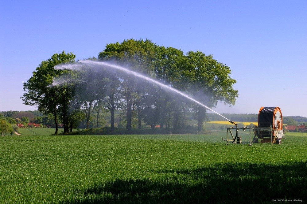 Getreidefeld mit Sprinkleranalge bei Höver by fotorwh