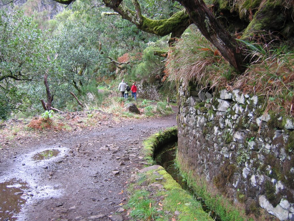 Levada bei Rabacal by Dieter Knausenberger