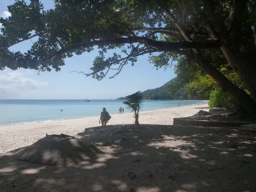 Beach Beau Vallon: herrlicher Sand by bernyz