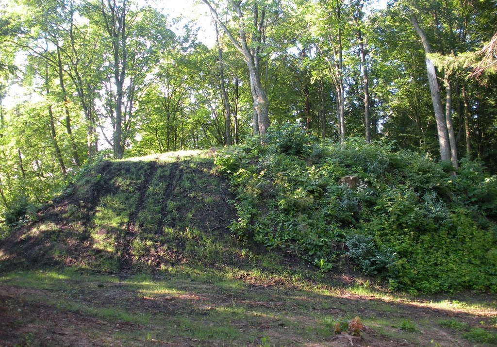 Mažūjų Žinėnų piliakalnis (Mazieji Zinenai mound) by MrEko