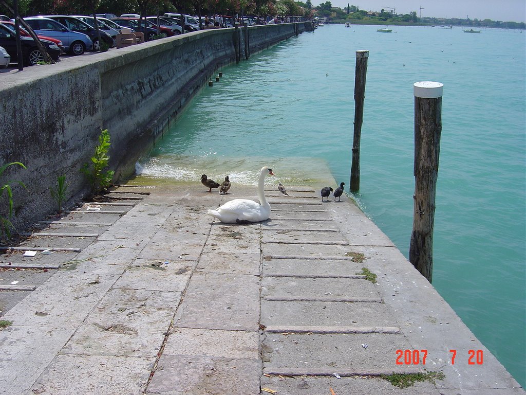 Sirmione, Province of Brescia, Italy by ΝΕΜΗΣ ΦΕΛΩΝΗΣ