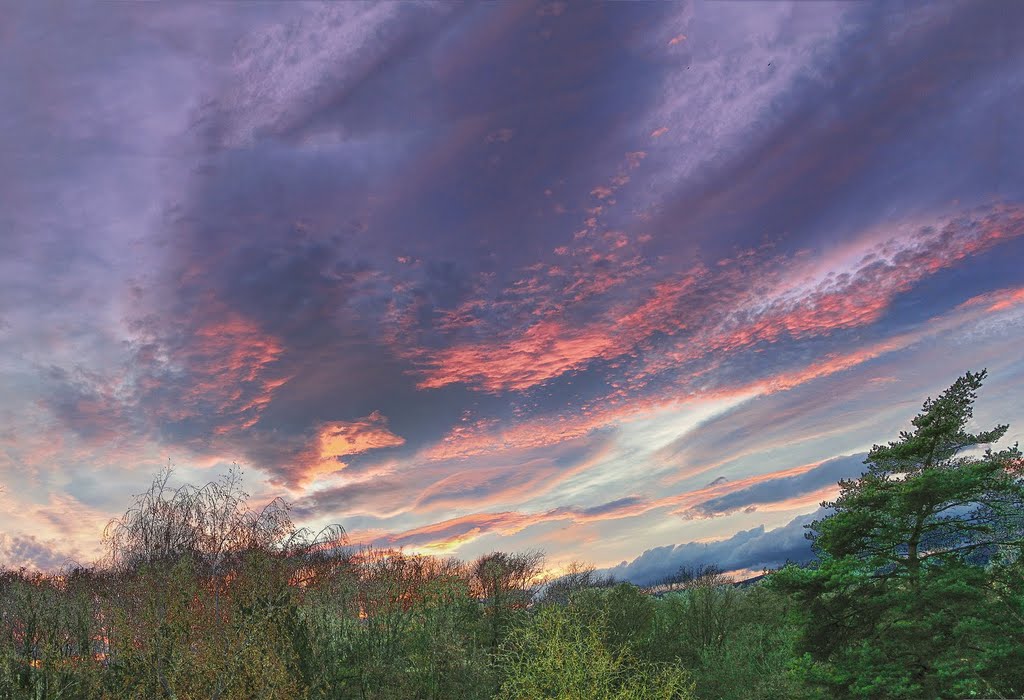 Sunset in Tannay, looking towards the Jura by Tannay Vaud