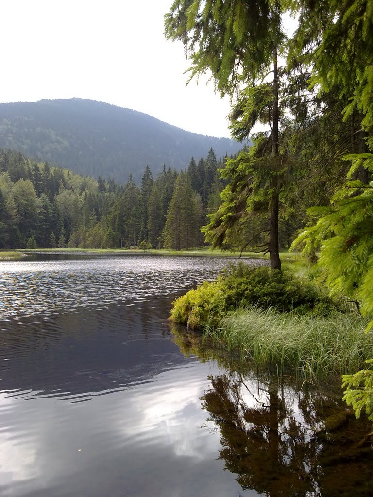 Kleine Arbersee by Josef Drda