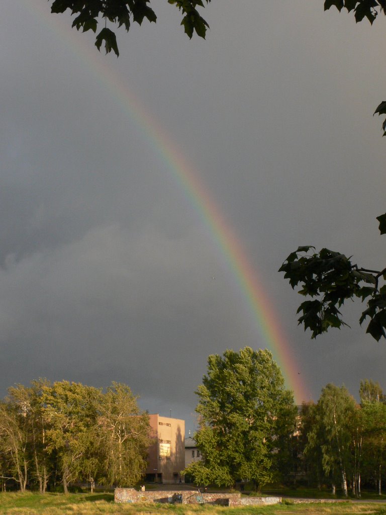 Park Pionerov (Rainbow) by Konsta Jääskeläinen