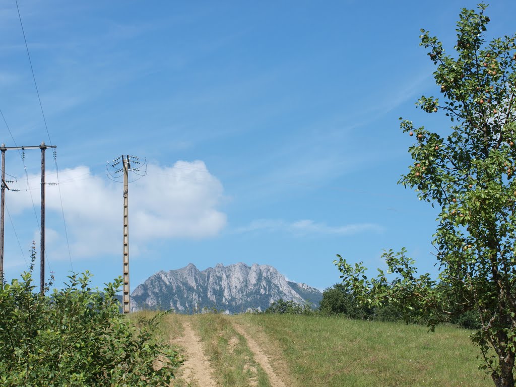 Pic du Bugarach by panoramio66