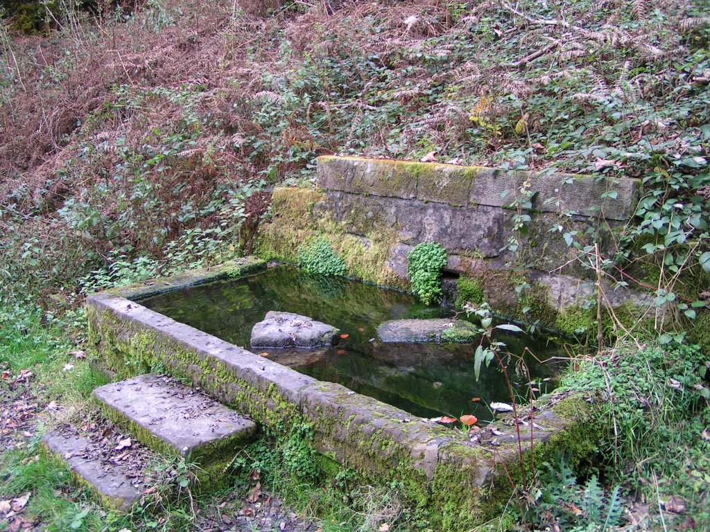 Diebsbrunnen bei Gengenbach-Haigerach by Bernie1953