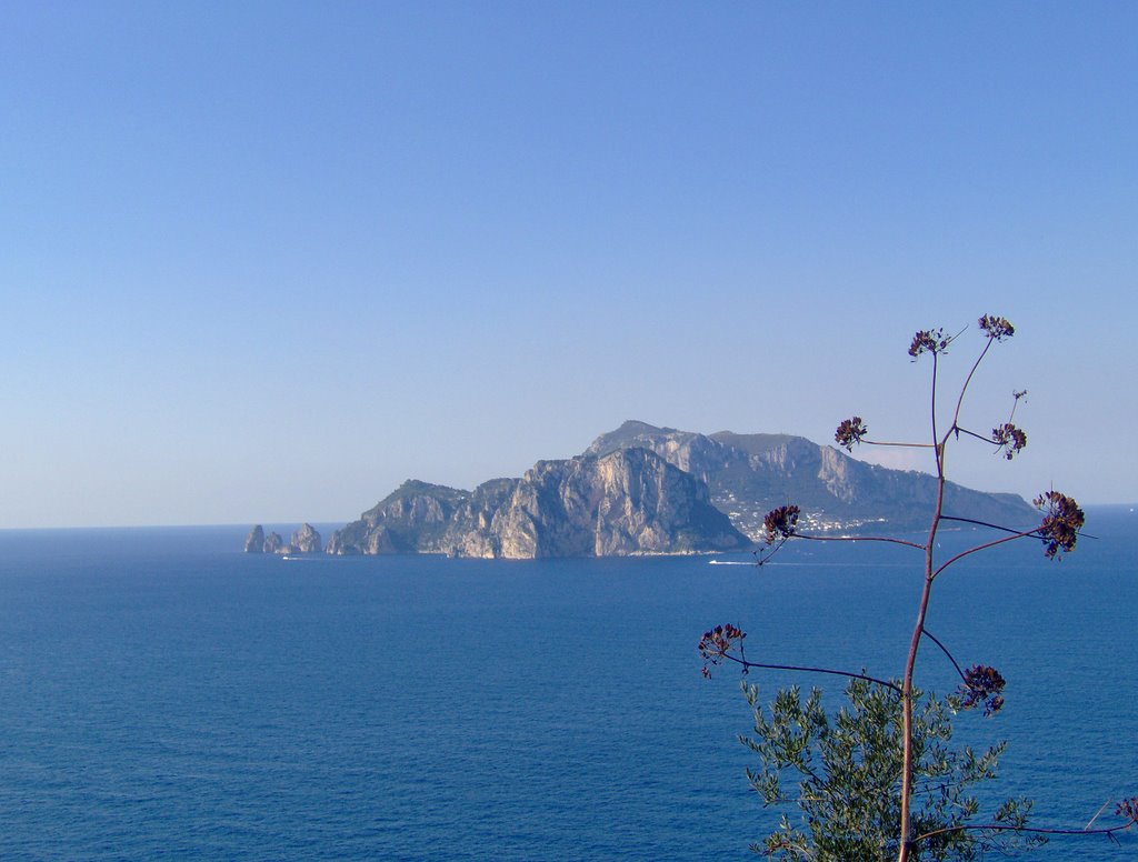 CAPRI DA PUNTA CAMPANELLA by MaxApicella-Salerno