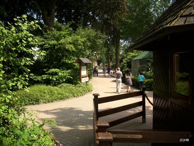 Tierpark Jaderberg by Heinz.Bock