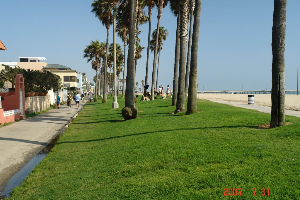 Venice Beach by Leslie66