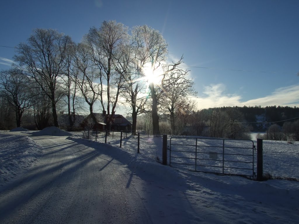 Stafsund, looking towards Lake Mälaren and Helgö by Amanda Wood