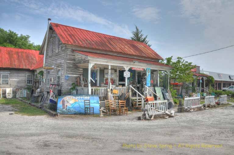 Antique Store #2 by Steven Spring