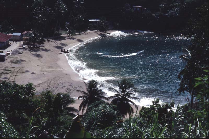 Tobago - 1981 by Ole Holbech