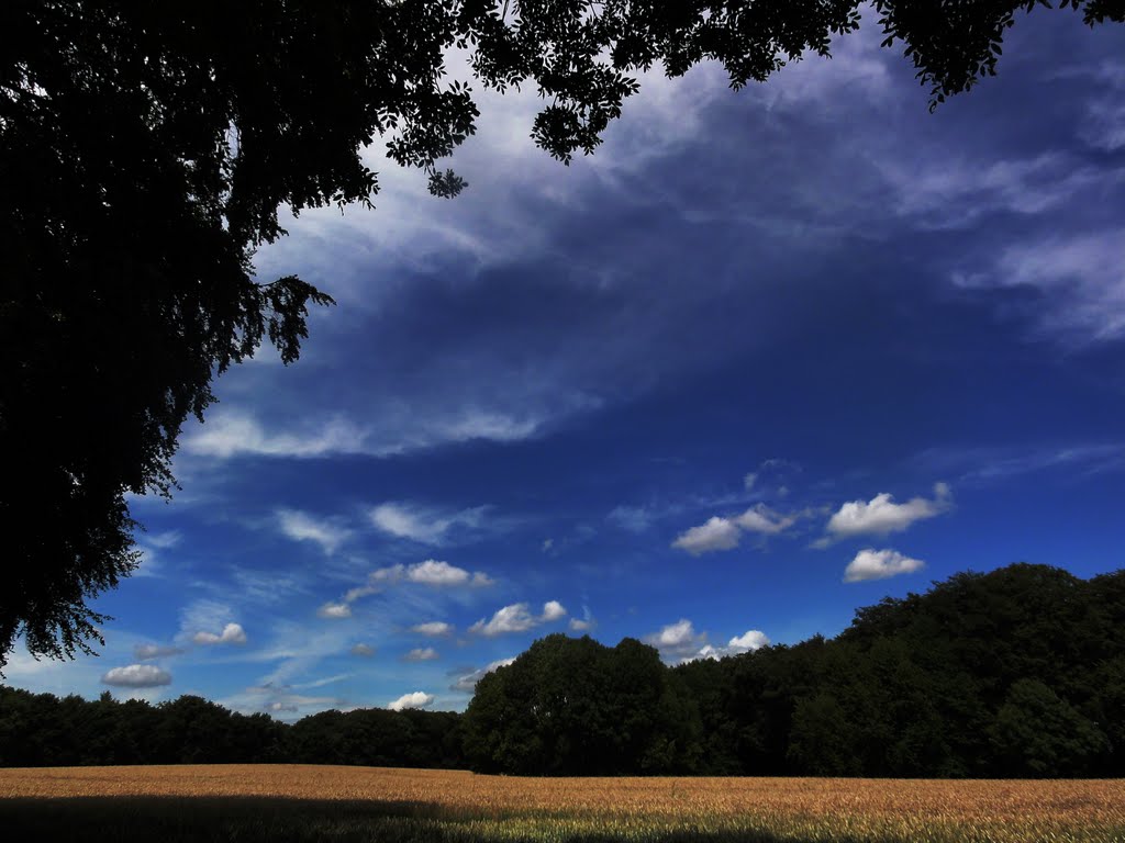 Wolkenspiele by Willi Prinz