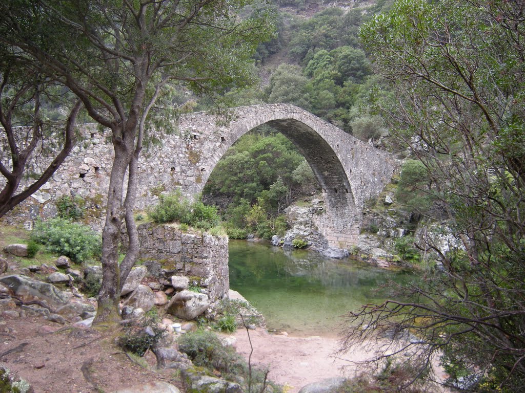 Pont Génois de ¨Porto Ota Corse by Eric Cavazzana