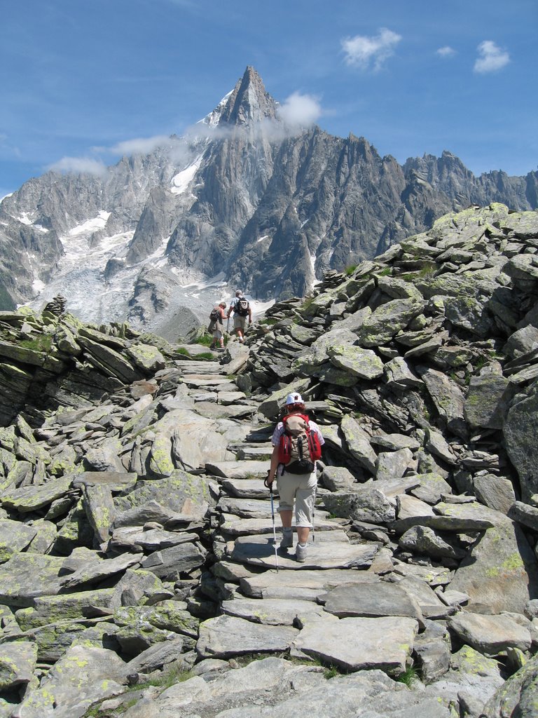 Près du Signal Forbes (vue sur les Drus) by Etienne Chanez